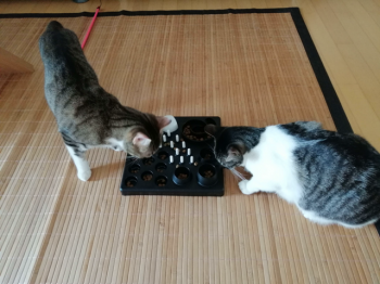 Milana Bild von Milana