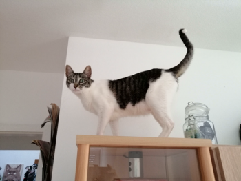 Milana Bild von Milana