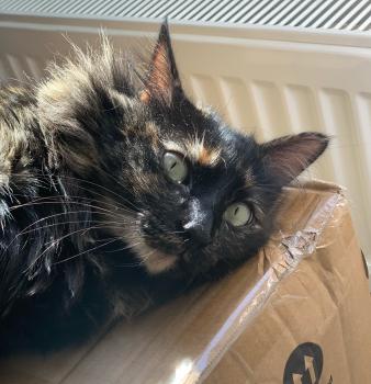 Matilda Bild von Matilda