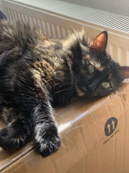 Matilda Bild von Matilda