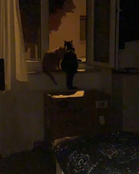 Matilda Bild von Matilda