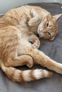 Tommy Bild von Tommy