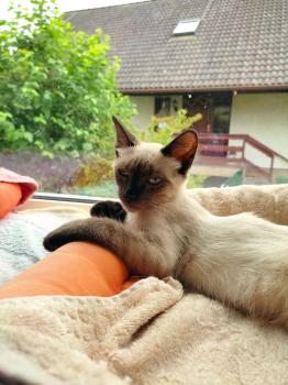 Talisa Bild von Talisa