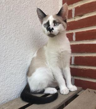 Cali Bild von Cali