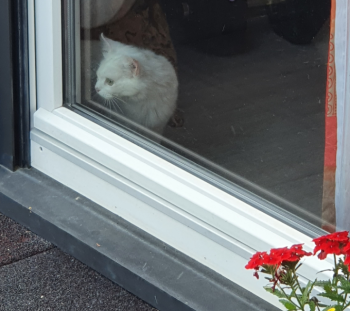 Tokio Bild von Tokio