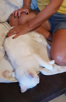 Tokio Bild von Tokio