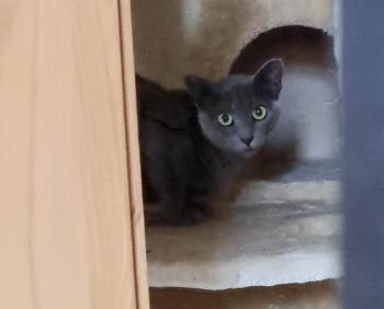 Nikita Bild von Nikita