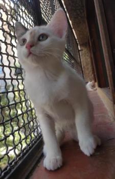 Mafi Bild von Mafi