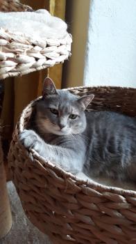 Zander Bild von Zander