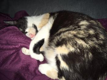 Gunilla Bild von Gunilla