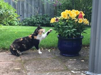 Gunilla Bild von Gunilla