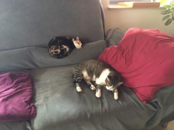 Gunilla Bild von Gunilla
