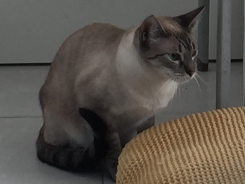 Nieves Bild von Nieves