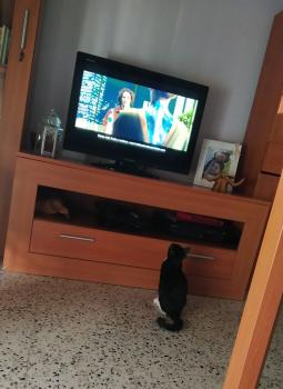 Evita Bild von Evita