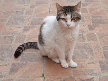 Tina Bild von Tina