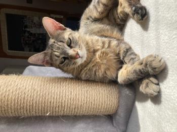 Mami Bild von Mami