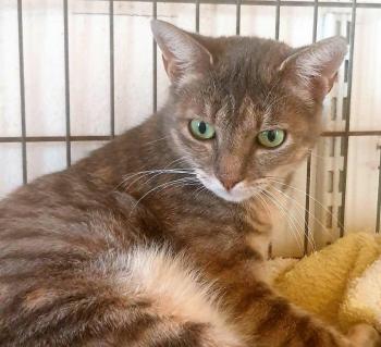 Nyasha Bild von Nyasha