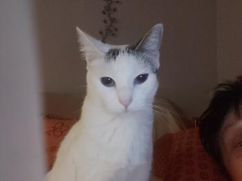 Desirée Bild von Desirée