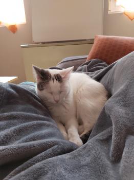 Desirée Bild von Desirée