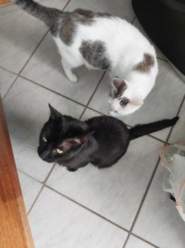 Desirée Bild von Desirée