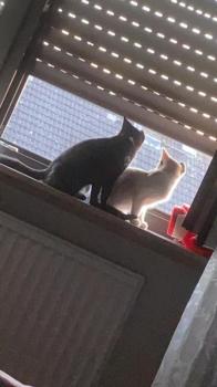 Cali Bild von Cali