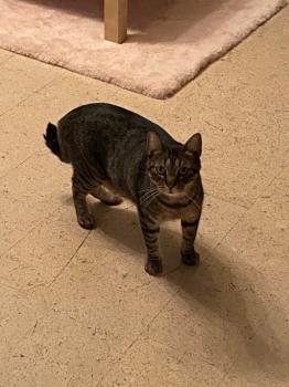 Miika Bild von Miika