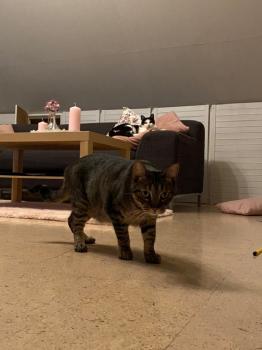 Miika Bild von Miika