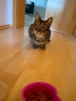 Miika Bild von Miika