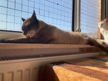 Cooper Bild von Cooper