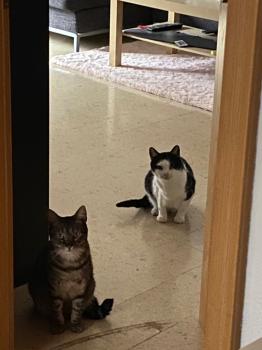 Miika Bild von Miika