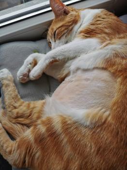 Charly Bild von Charly