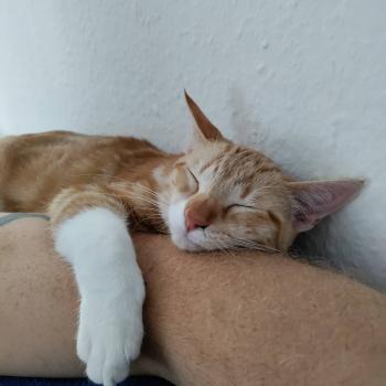 Ares Bild von Ares