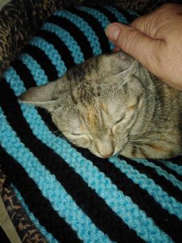 Amelia Bild von Amelia