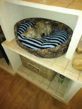 Amelia Bild von Amelia