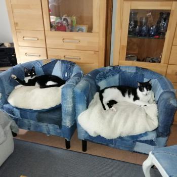 Wanda Bild von Wanda