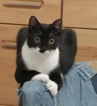 Wanda Bild von Wanda