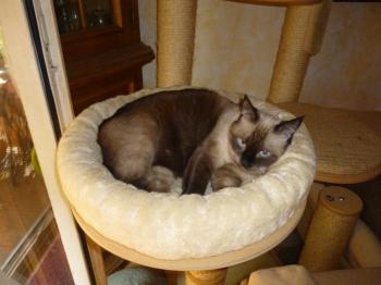 Elda Bild von Elda