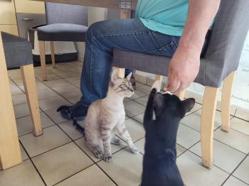 Camilo Bild von Camilo