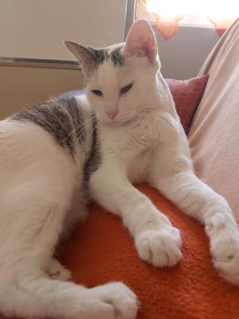 Desirée Bild von Desirée