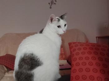 Desirée Bild von Desirée