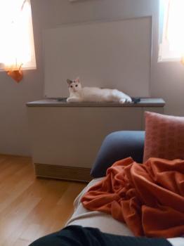 Desirée Bild von Desirée