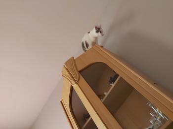 Desirée Bild von Desirée