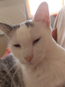 Desirée Bild von Desirée