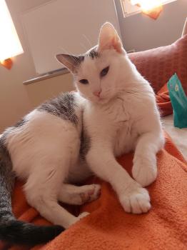 Desirée Bild von Desirée