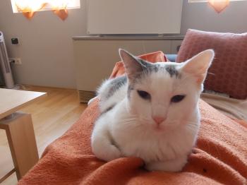 Desirée Bild von Desirée