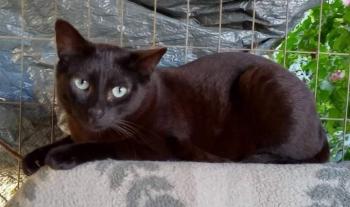 Salem Bild von Salem