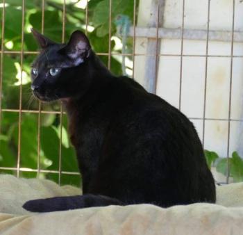Salem Bild von Salem