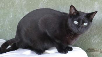 Salem Bild von Salem