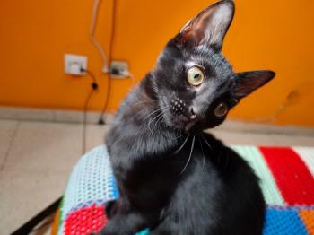 Bumpy Bild von Bumpy