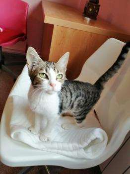 Dulce Bild von Dulce